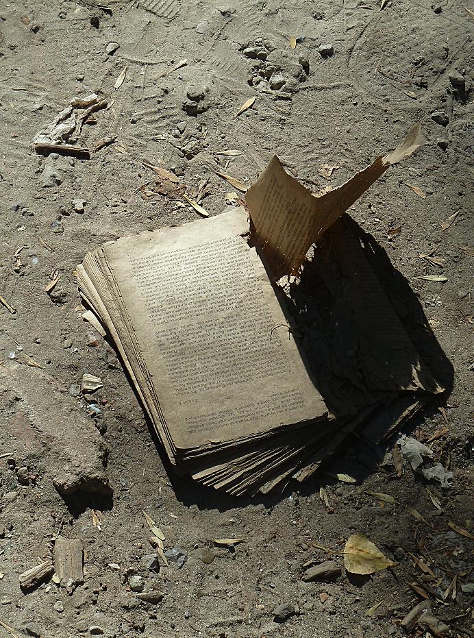 ветер в страницах