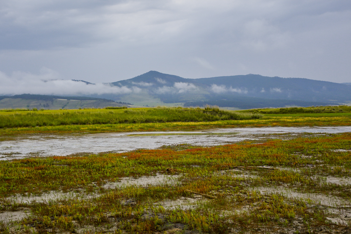 Солончаки Баргузинской долины