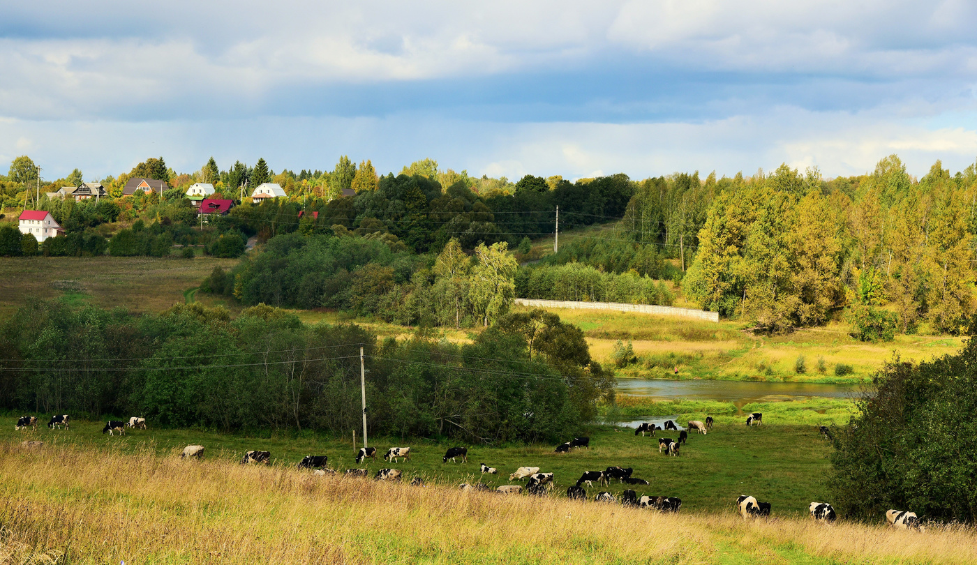 "Босоногую молодость вспомнил сейчас ..."