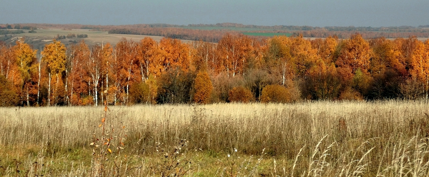 Панорама осени вступившей в права