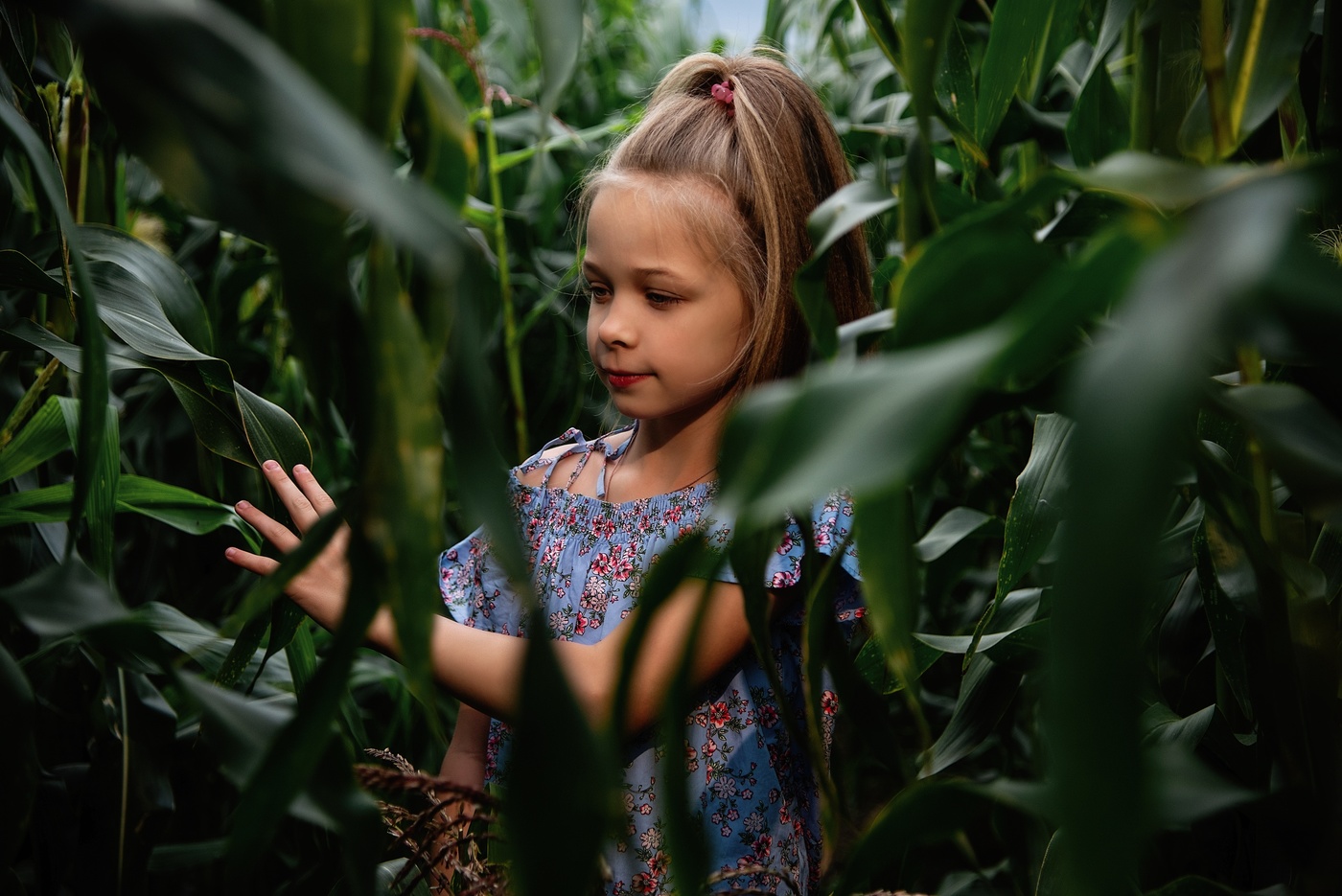 Сквозь заросли