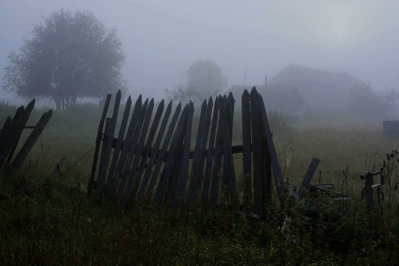 "Утро было зябким, как щекотка ..."