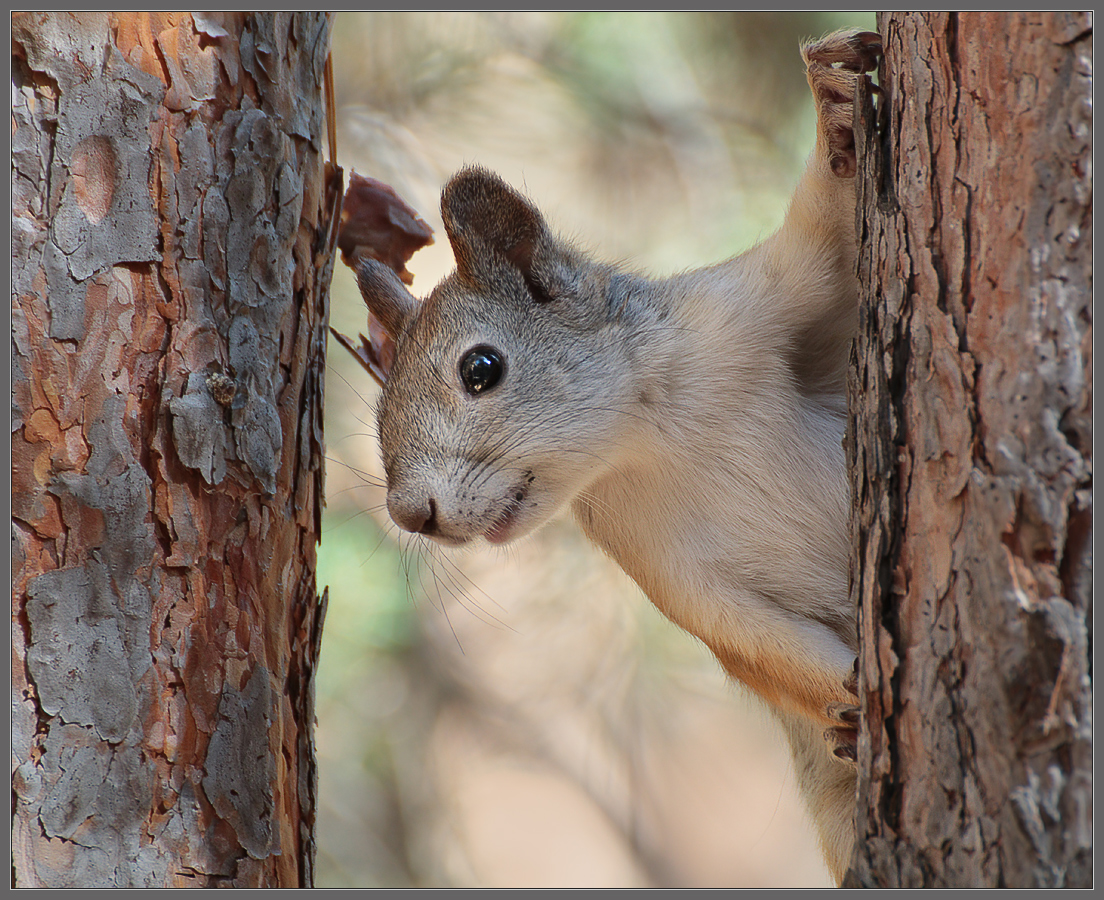 - Улыбнитесь!