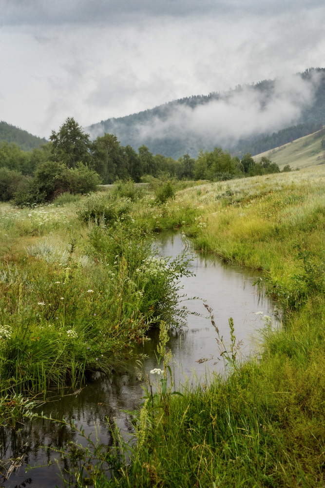 Пасмурное утро