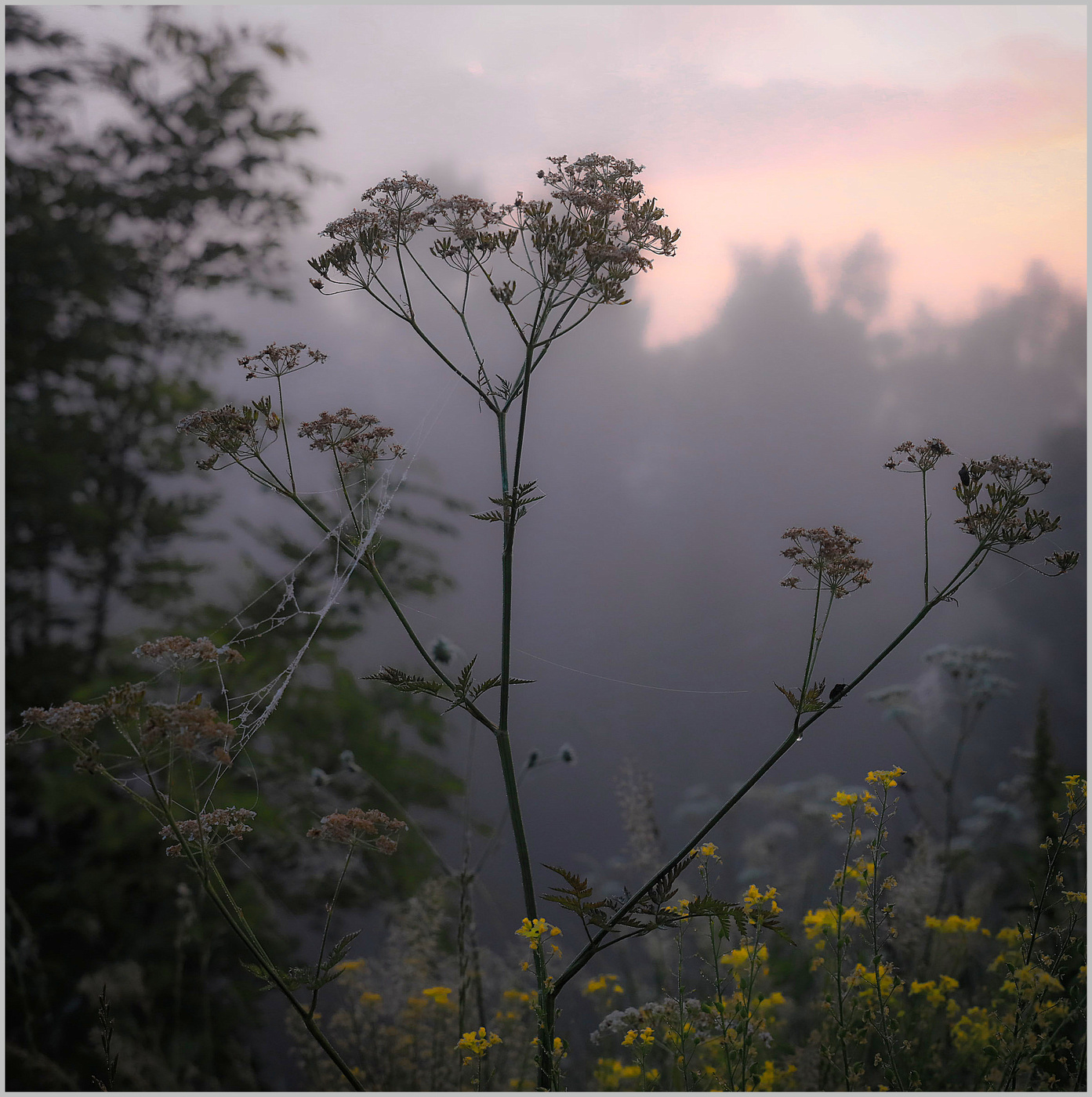 Утренний этюд 7