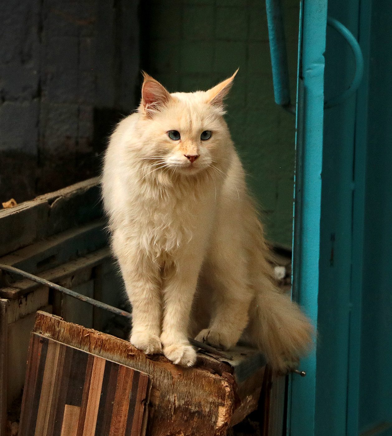 Я тут дверь сторожу...