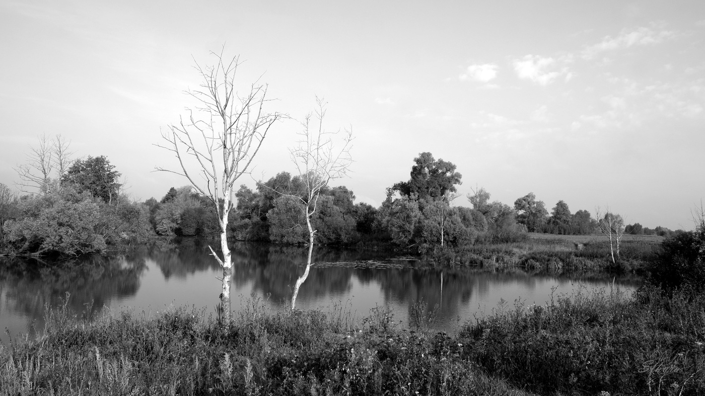 Утро. Озеро Омут.