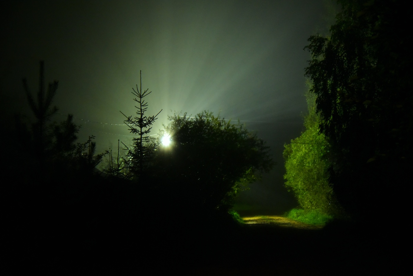 "Ночь - преступница и монашка ..."