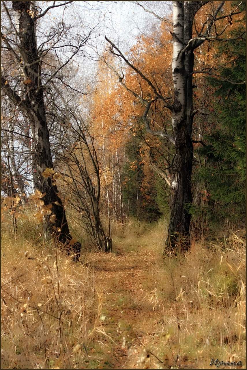 Смешанный план