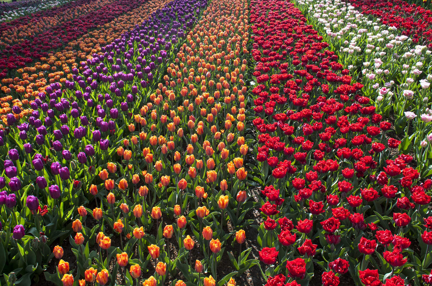 Смешанный план