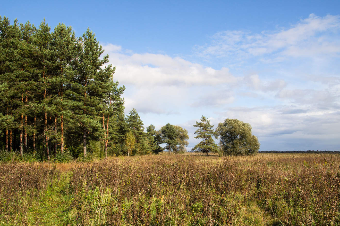 Сентябрьское небо