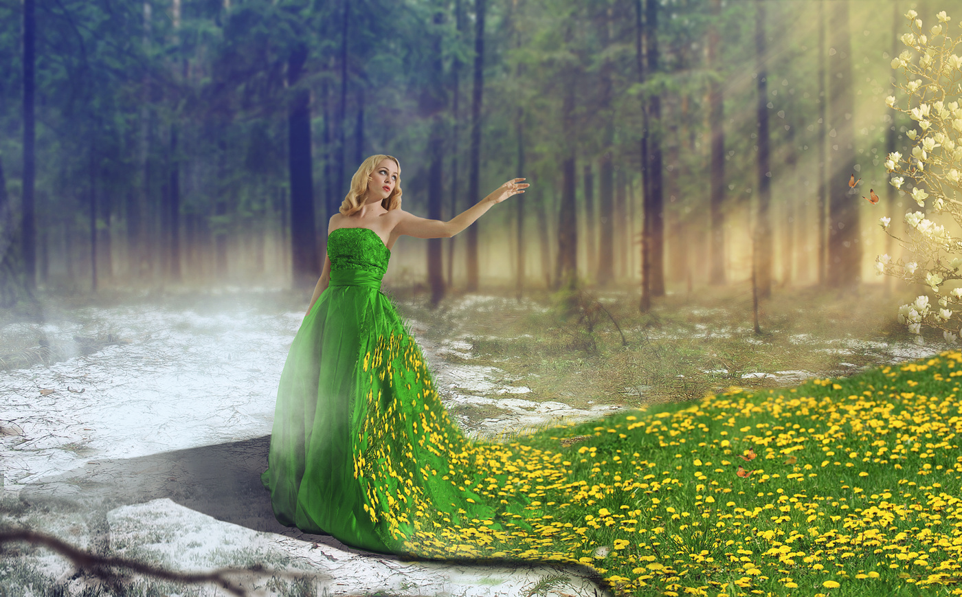 Смешанный план