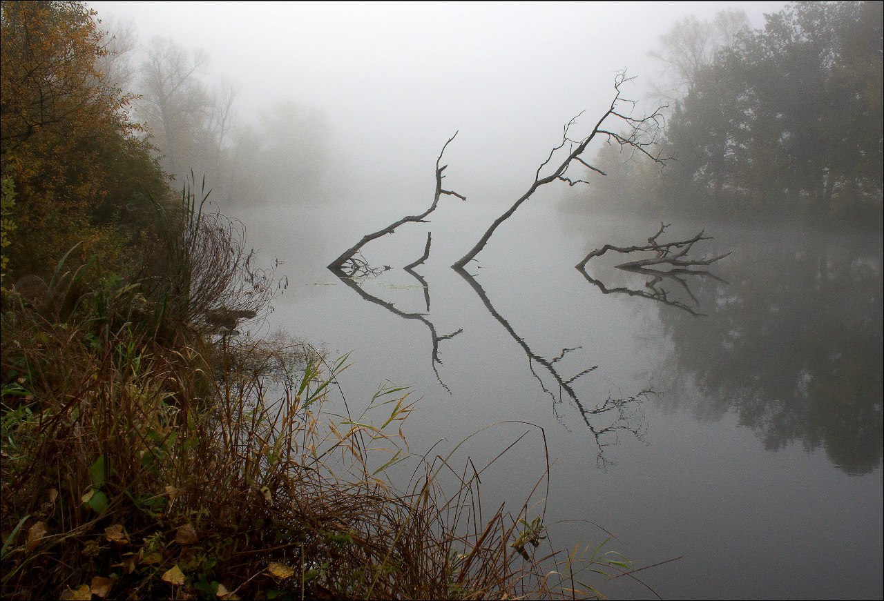 Смешанный план