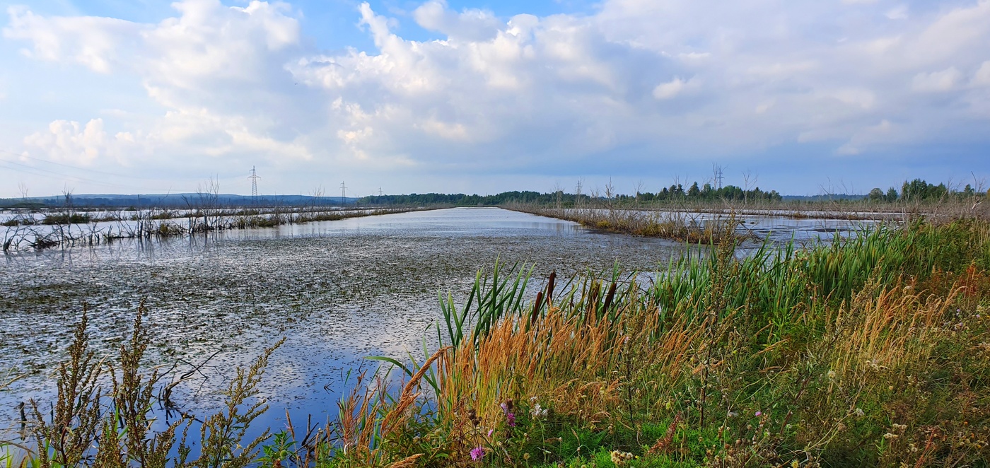 Смешанный план