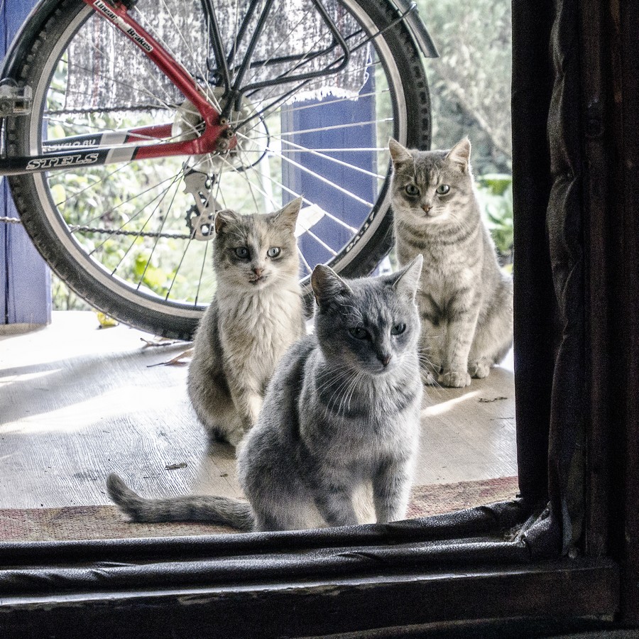 Смешанный план