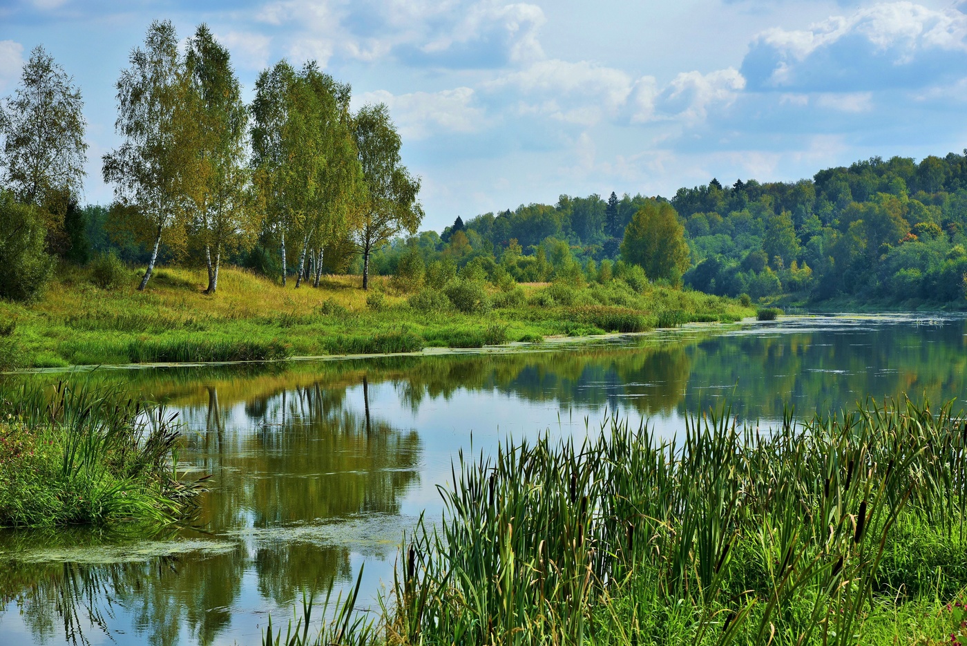"И в зеркальной воде уходящего лета ..."