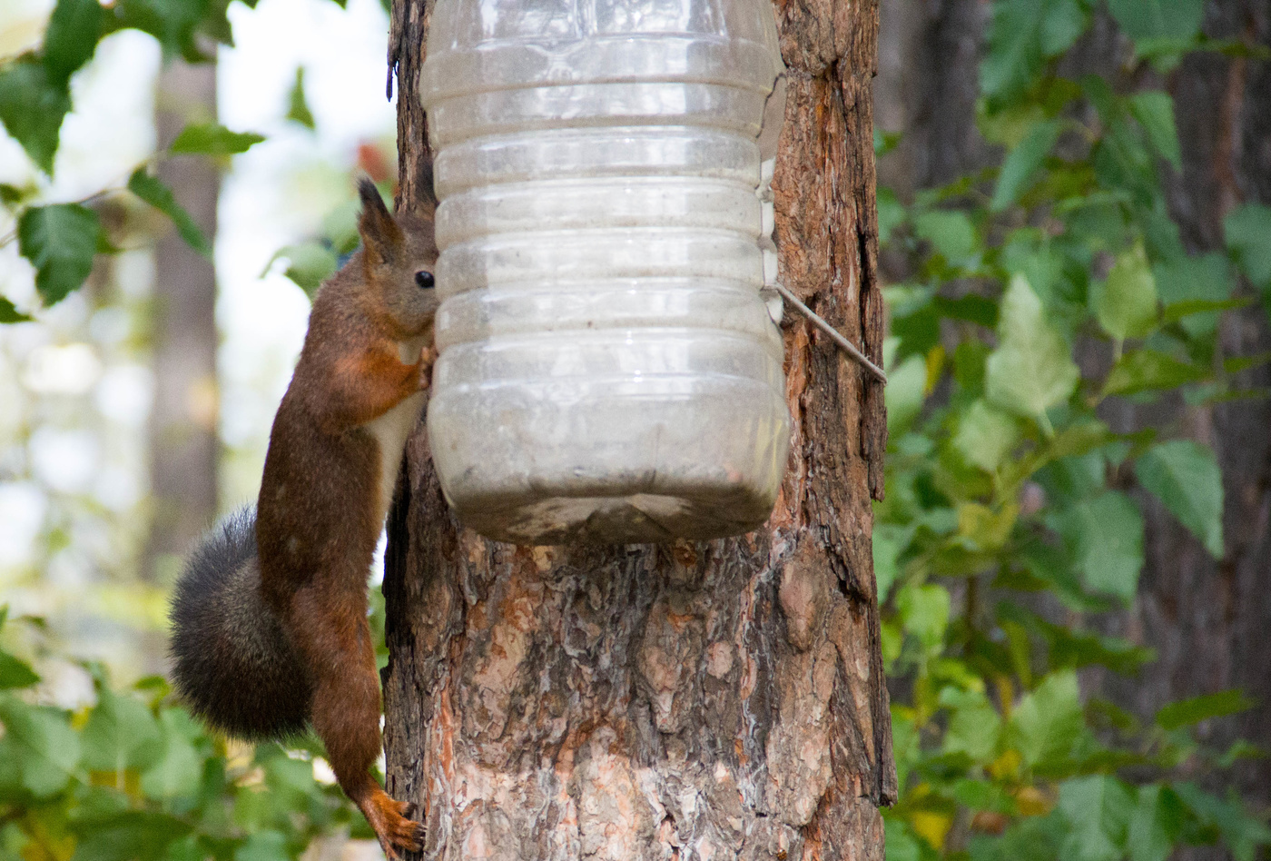 Что там у нас?