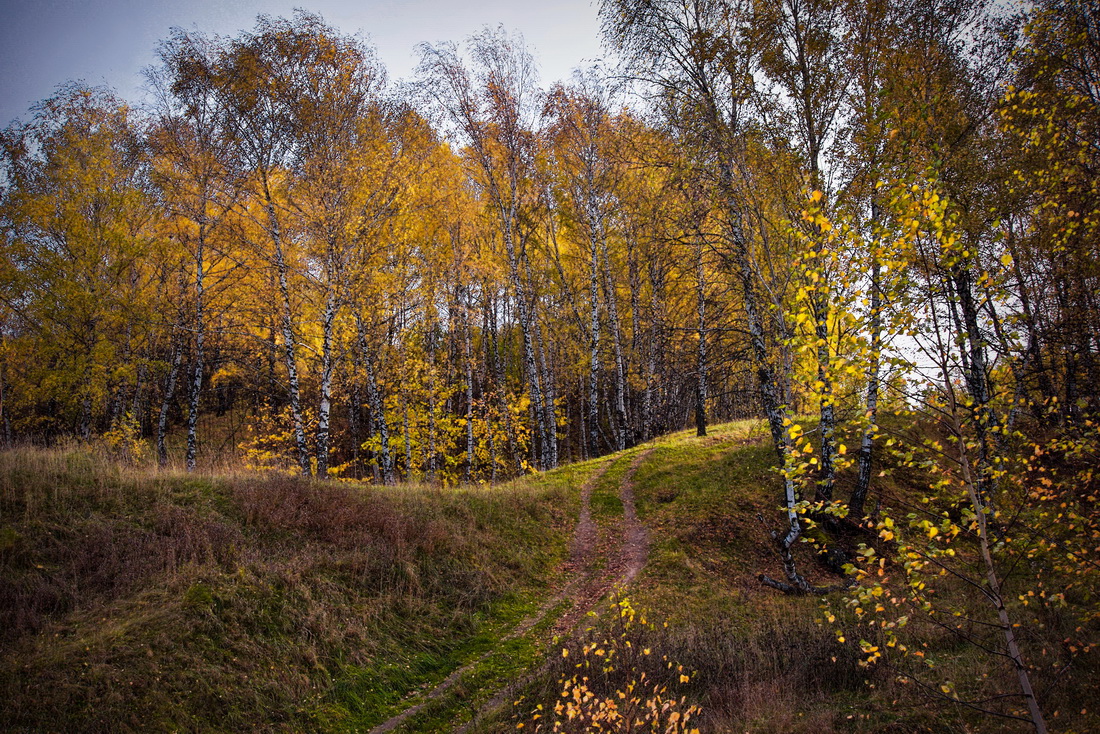 Осень - бродяга