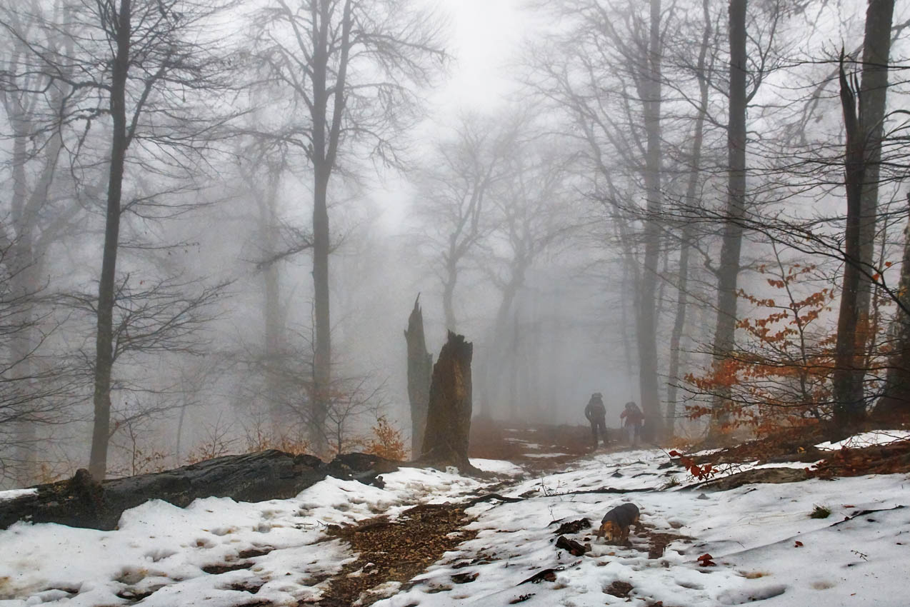 На склонах зимнего Чатыр-Дага