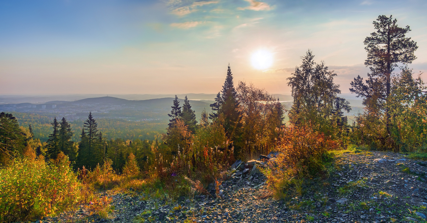 Солнечное утро