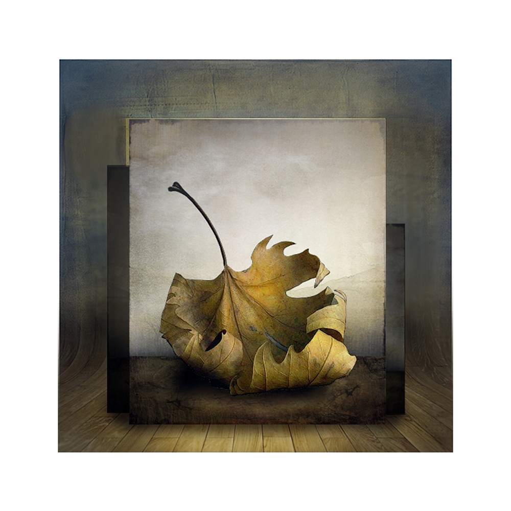 осенний портрет