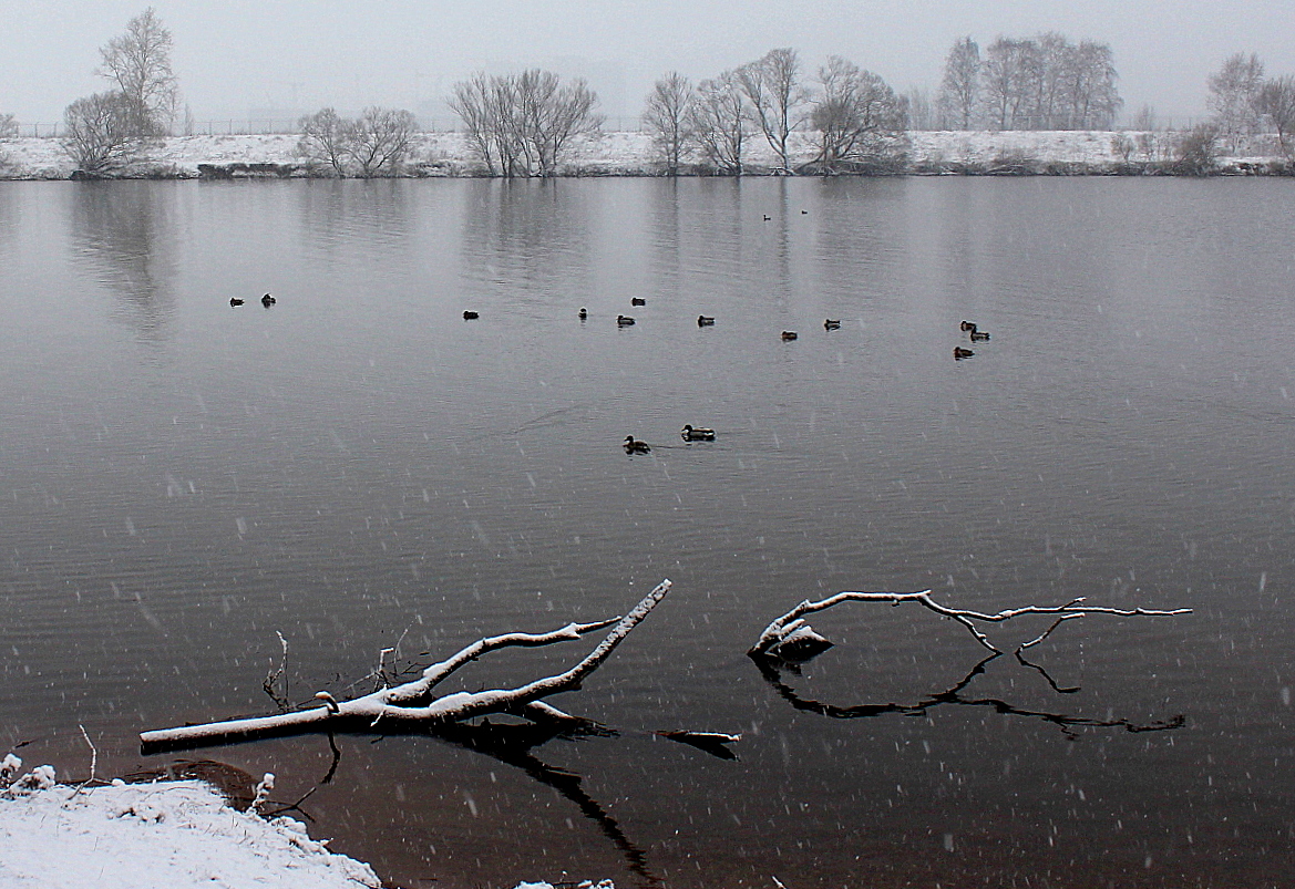 Начало зимы!