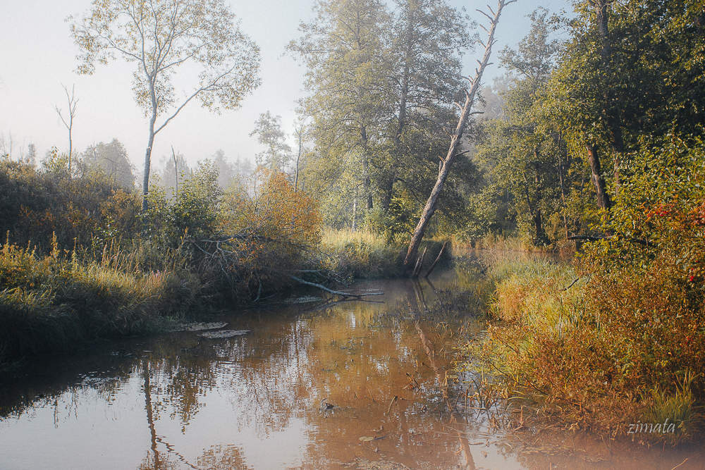 осенние краски