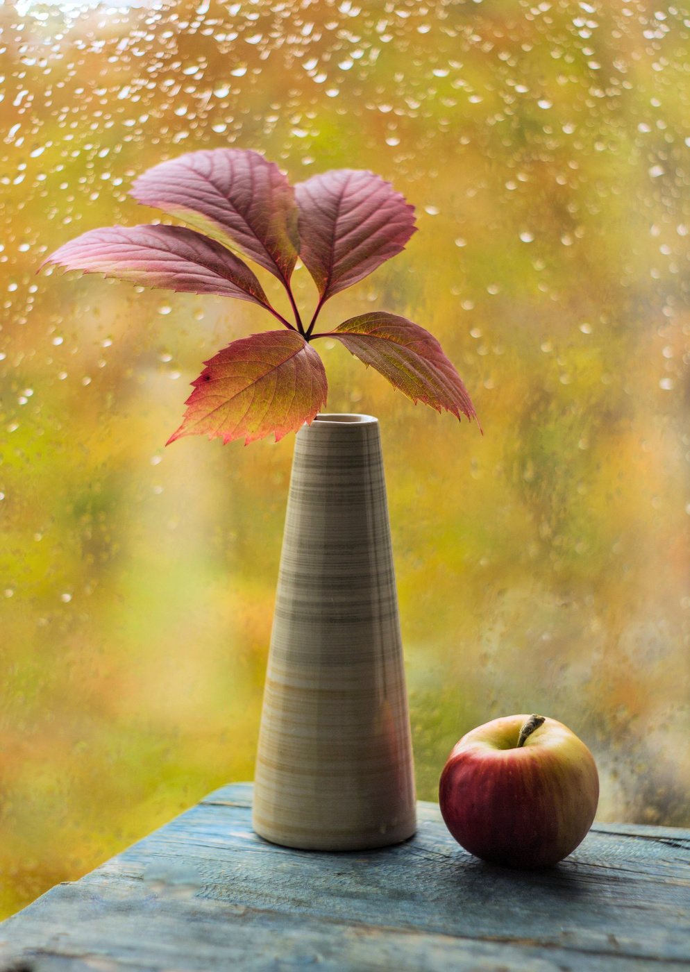 Когда на улице дождь...