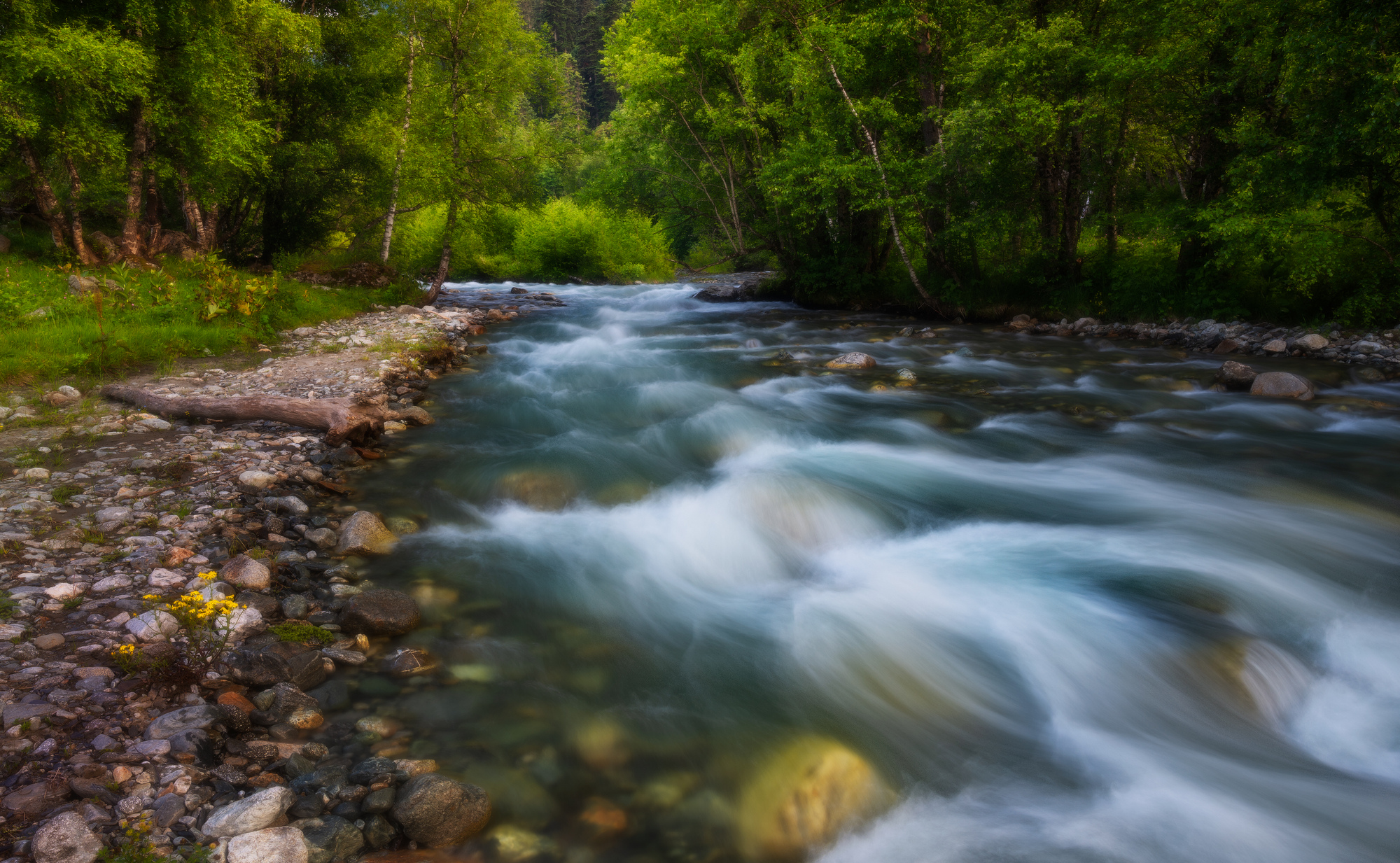 Вечер на берегу потока
