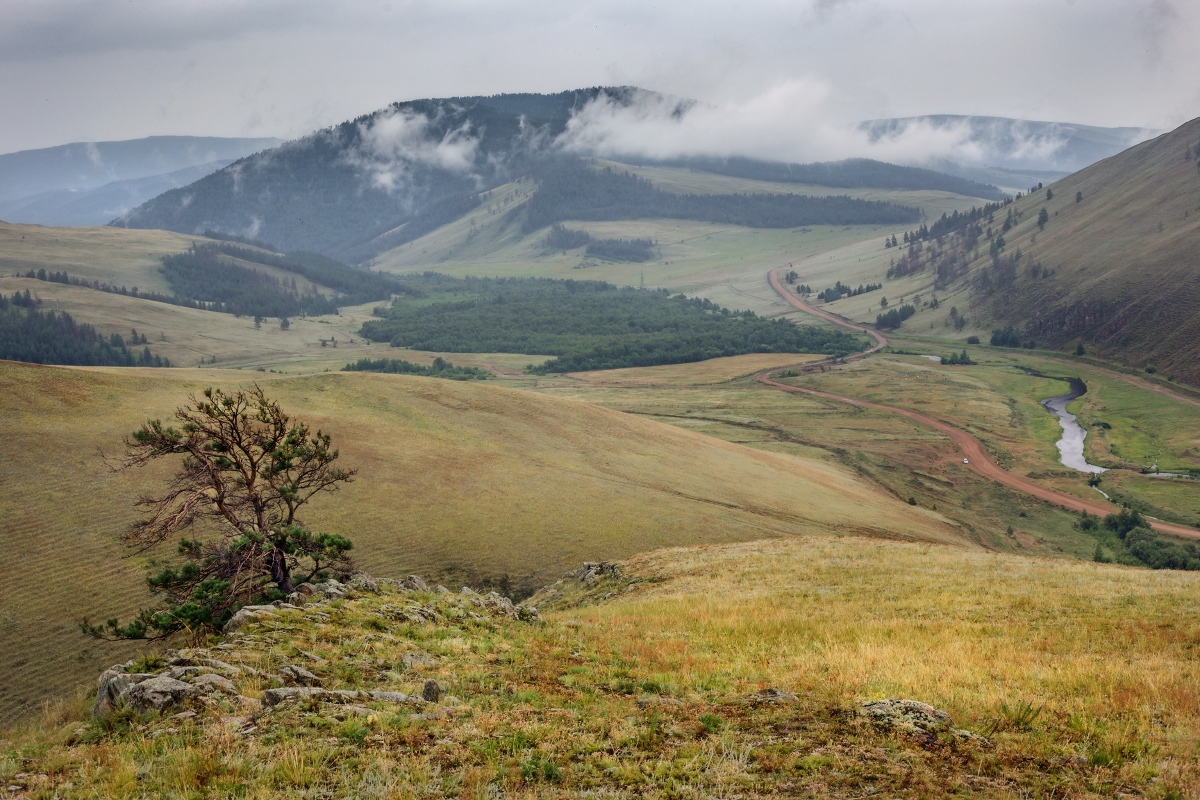 Сувинская Саксония