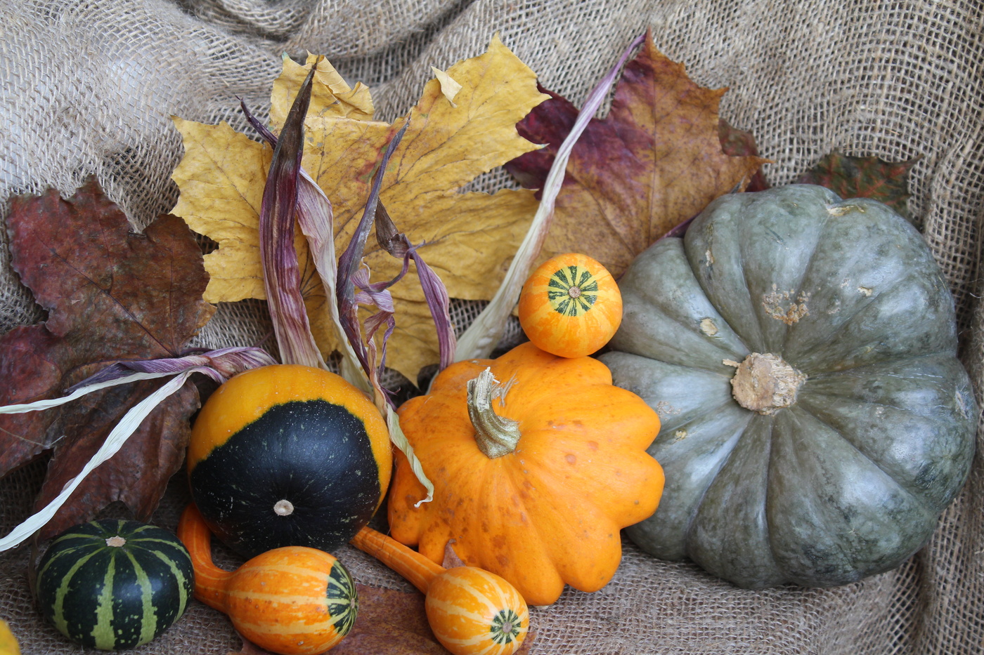 Осенний натюрморт