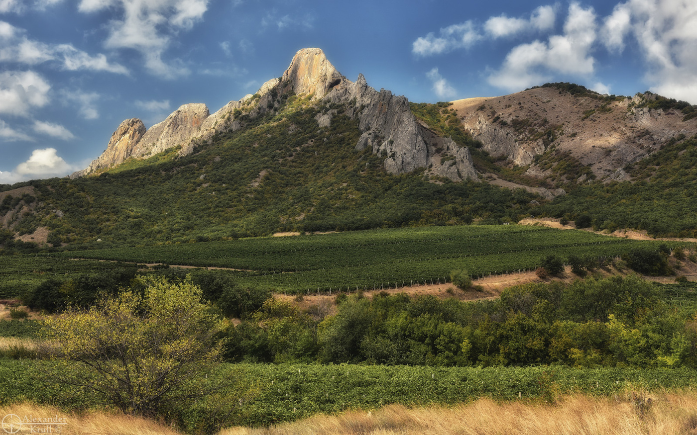 В одном виноградном раю...