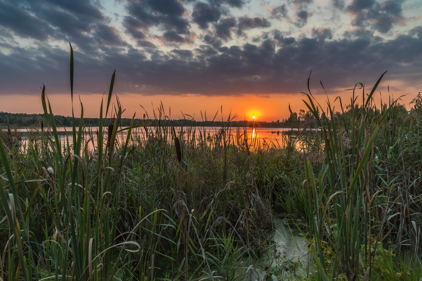 Сентябрьский вечер