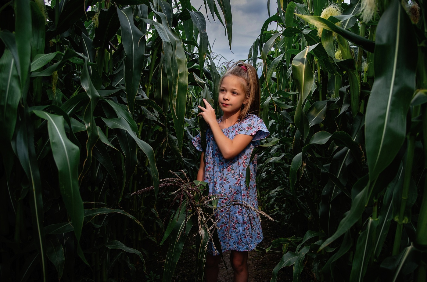 А початков нет