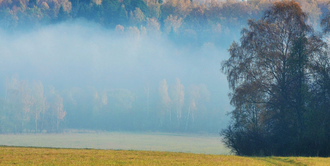 "Вновь правит балом осень- королева ..."
