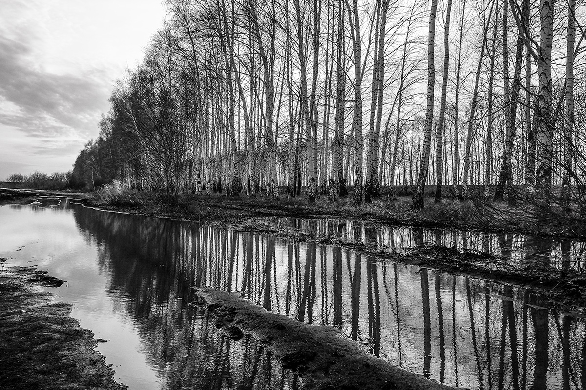 Бездорожье...