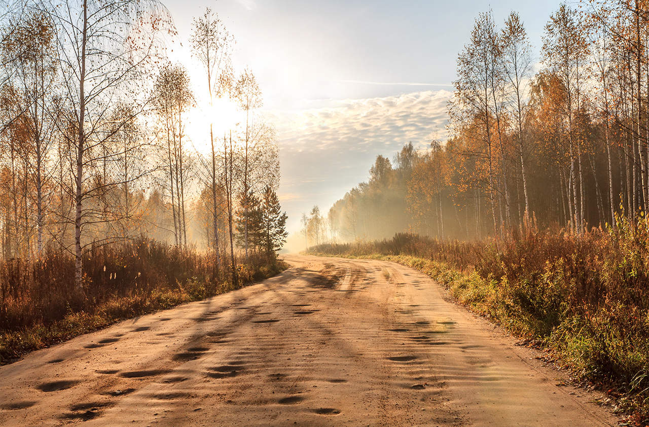 А я еду, а я еду за туманом...
