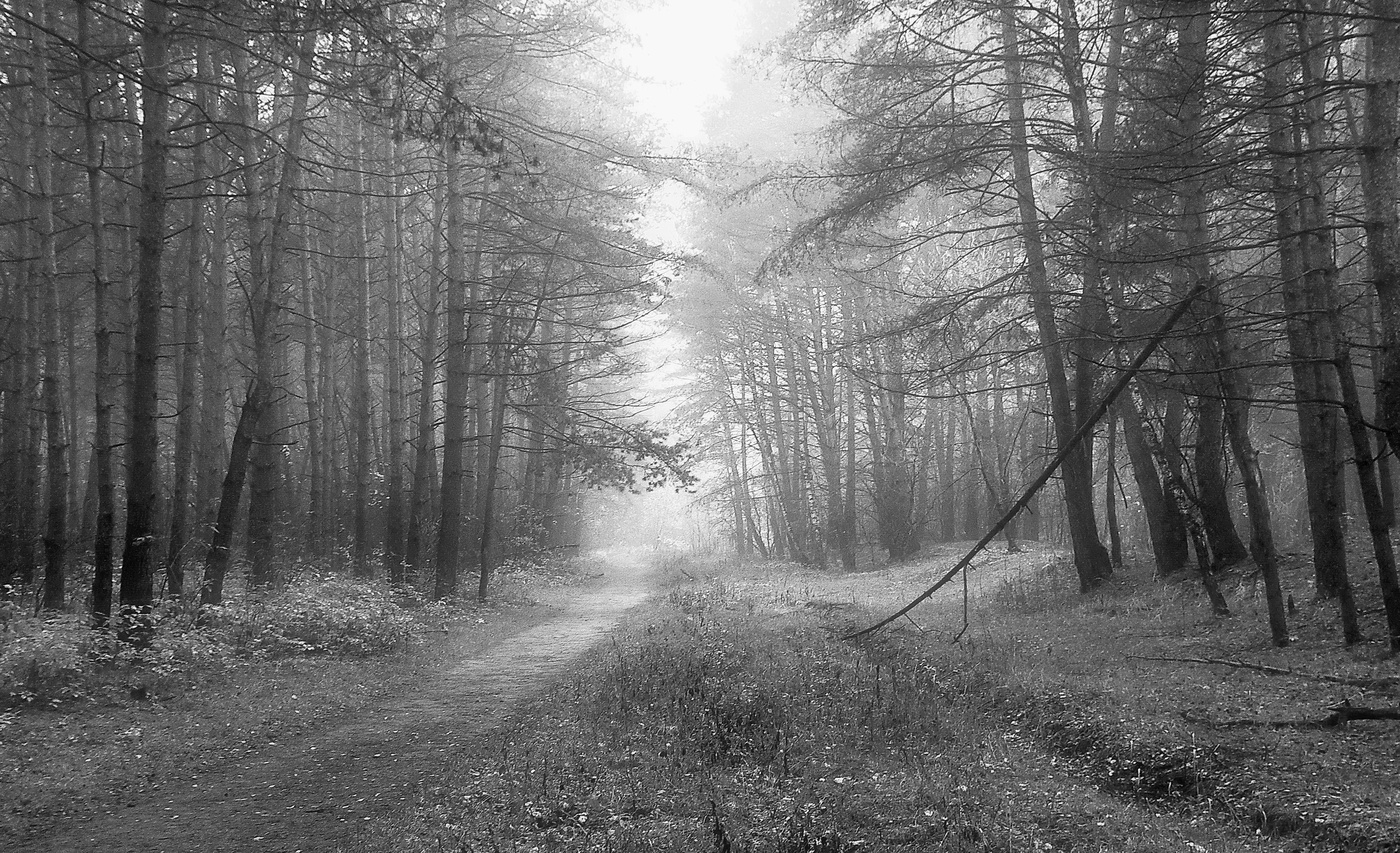 ритмы осеннего утра