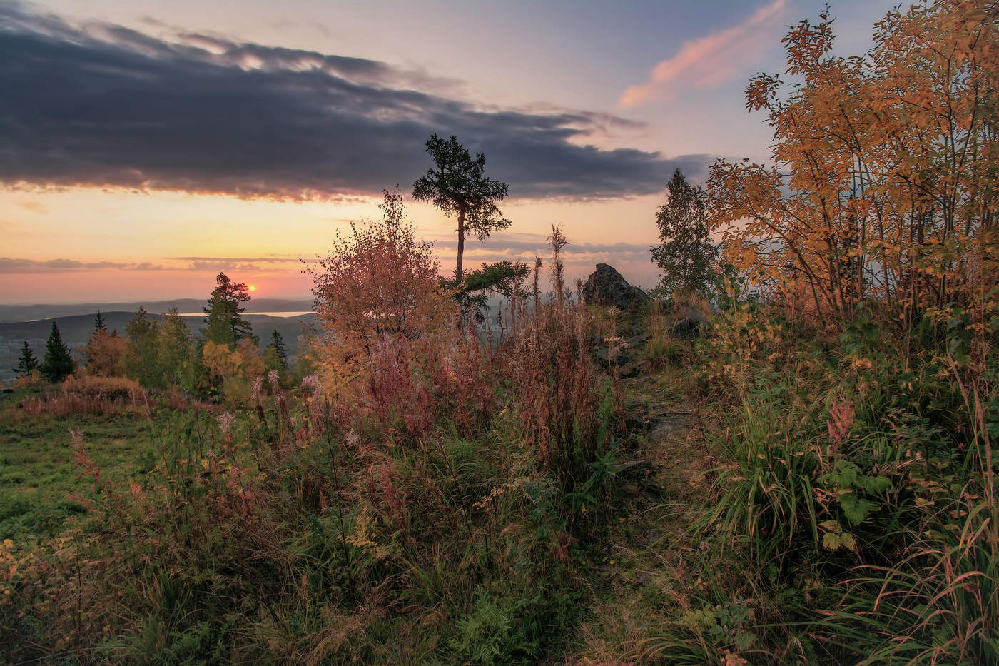 Осеннее разноцветье
