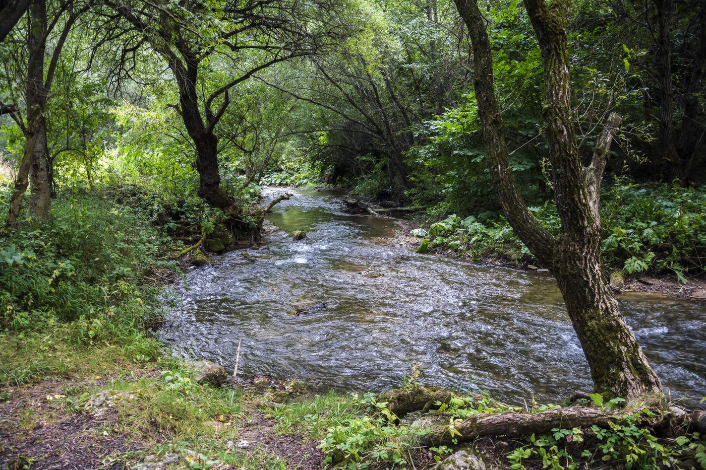 В горном ущелье.