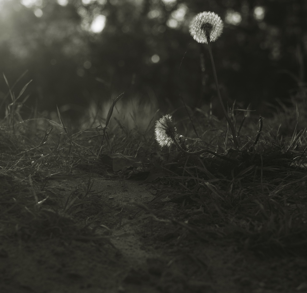 сентябрьский