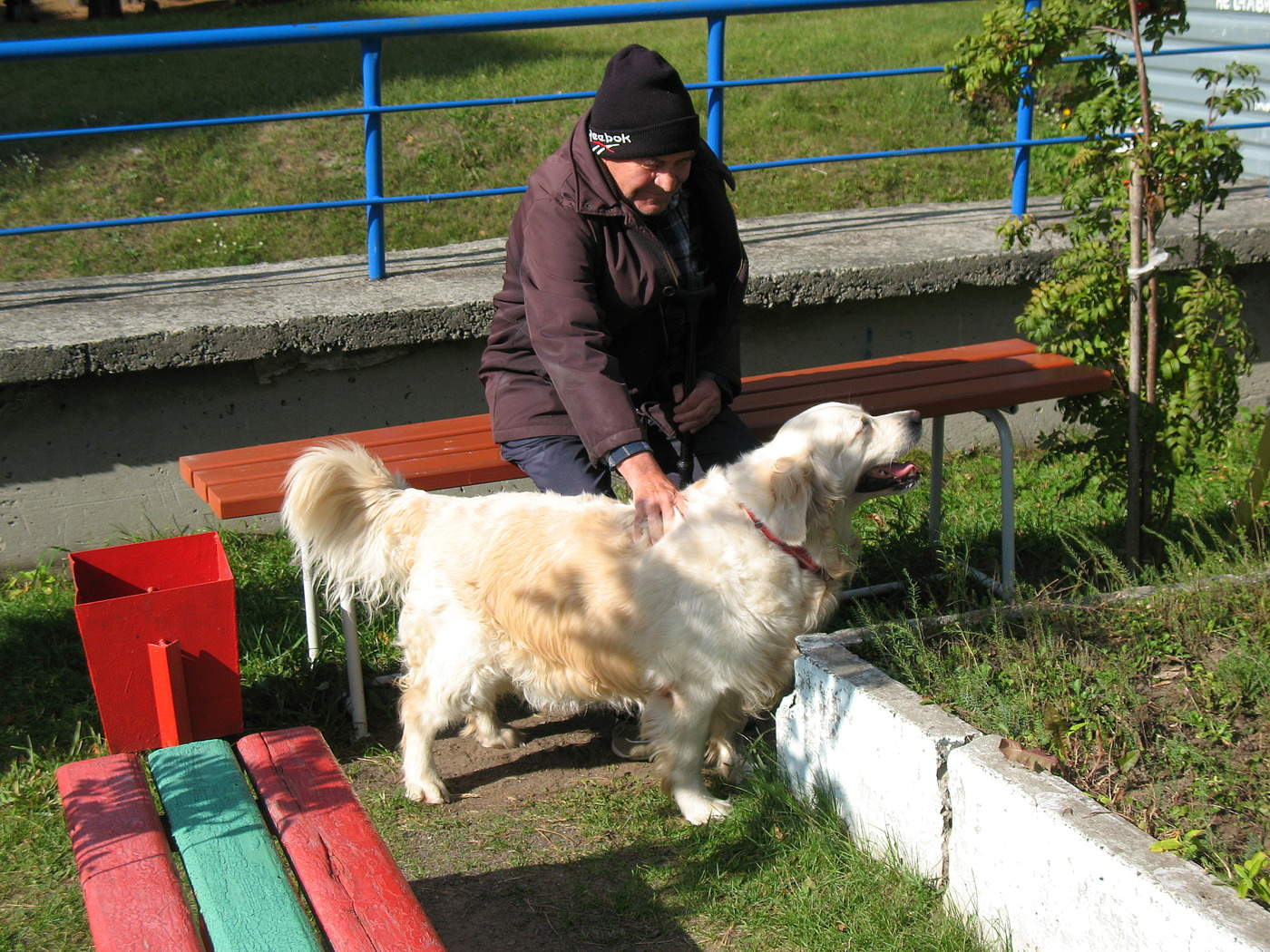 Признаки осени