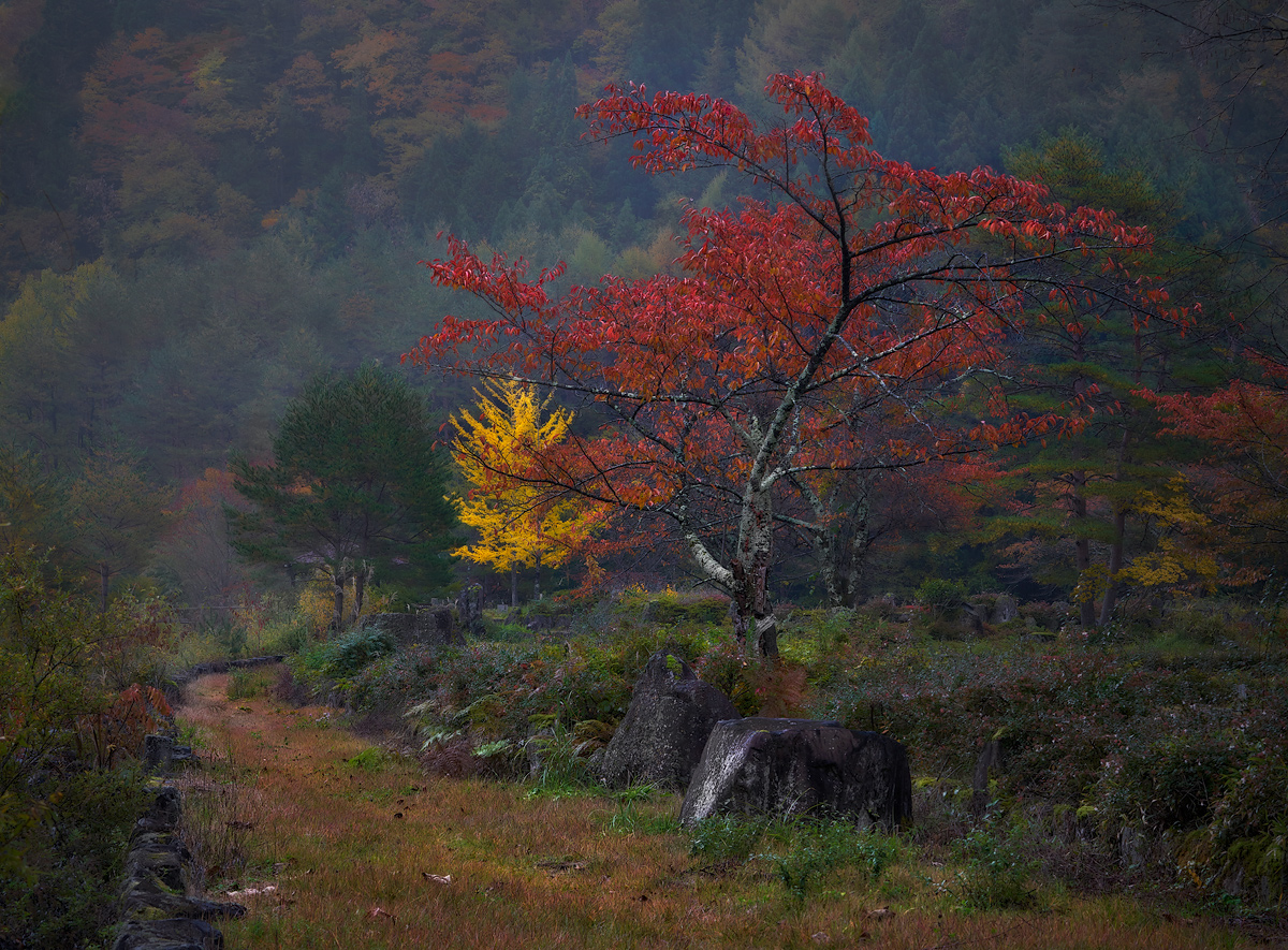 Признаки осени