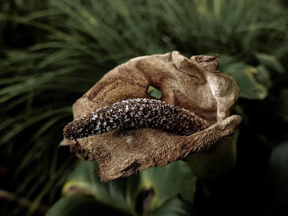 Признаки осени