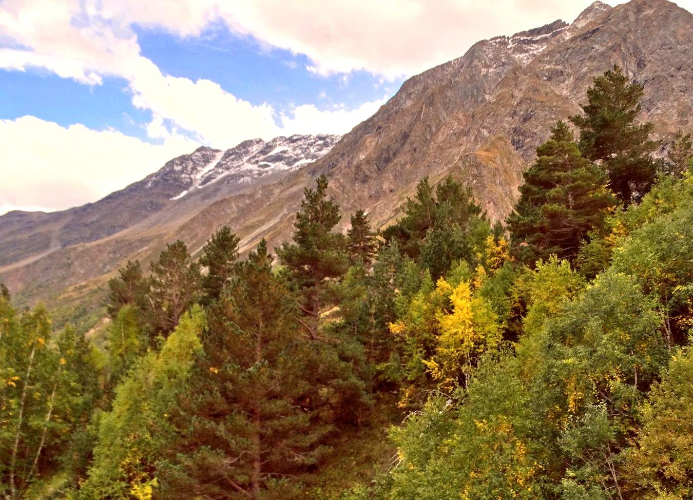 Признаки осени