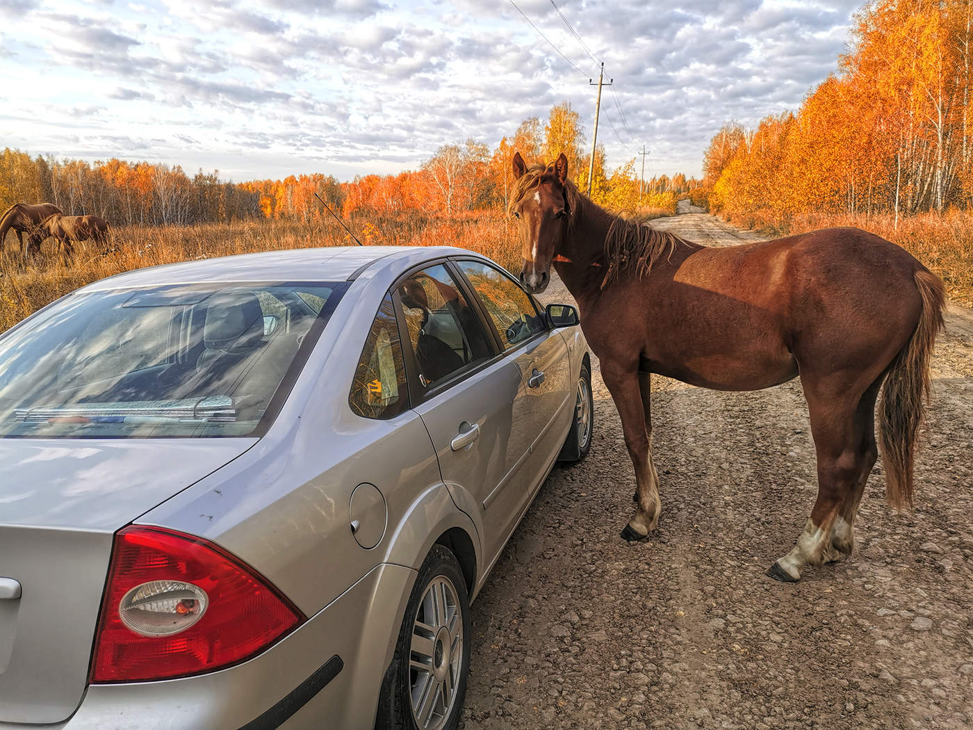 Признаки осени