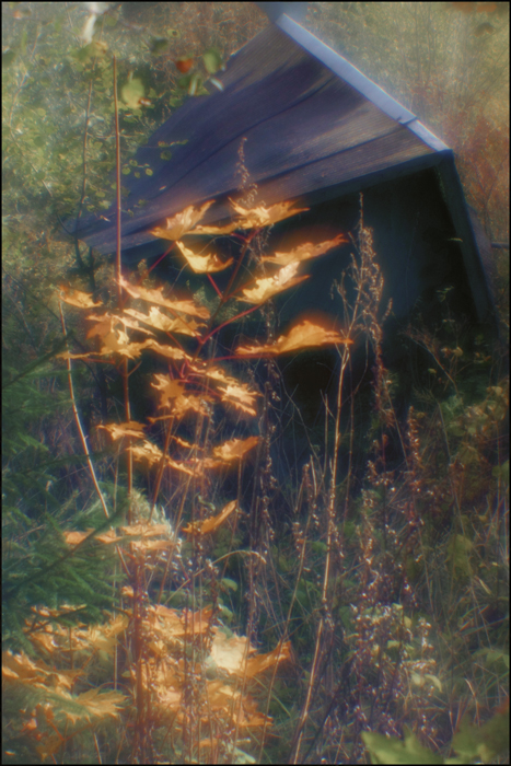 Признаки осени