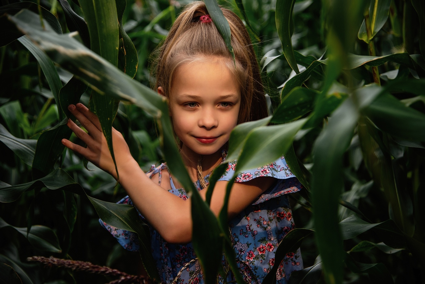 Выход найден