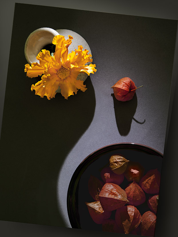 осенняя графика