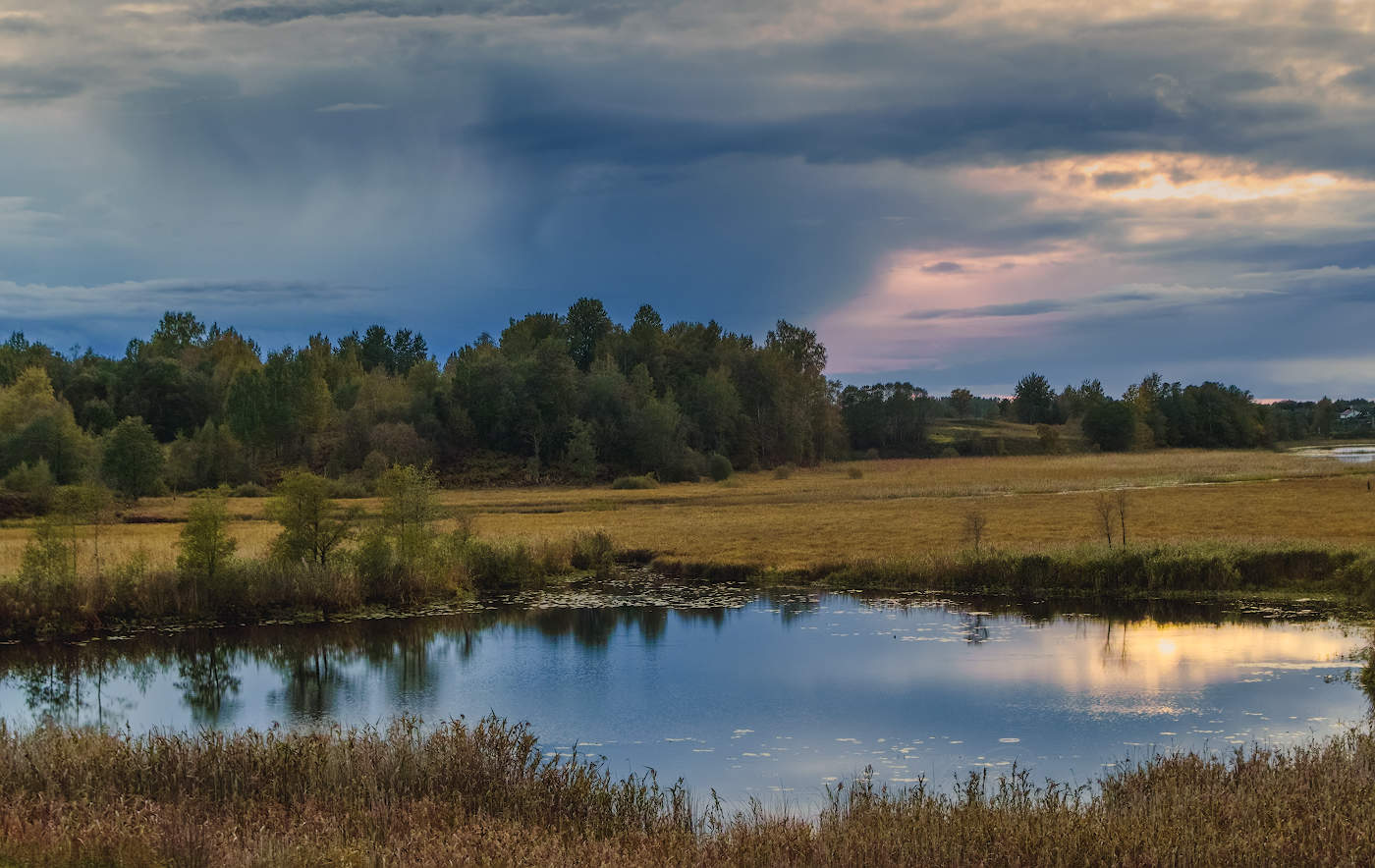 Уж небо осенью дышало... Короче становился день...